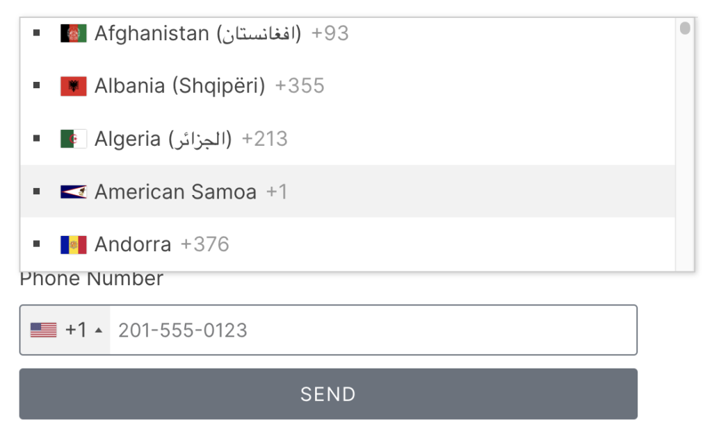 International Phone Mask Input