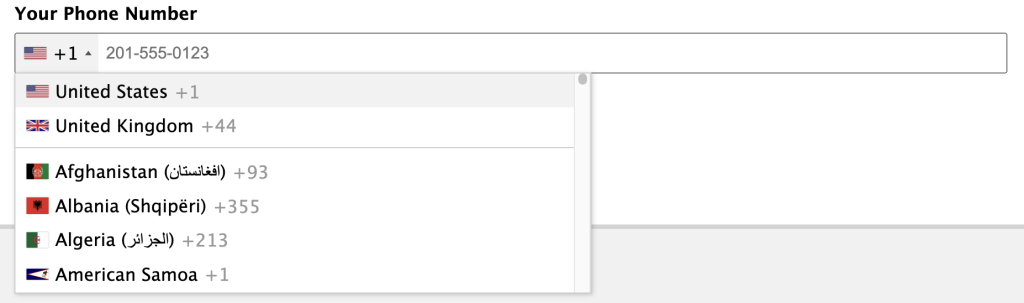 add an international phone field to gravity form